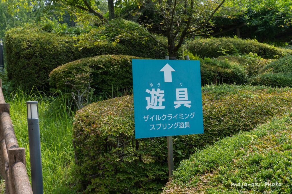 202207広島市植物公園-昼撮影その5