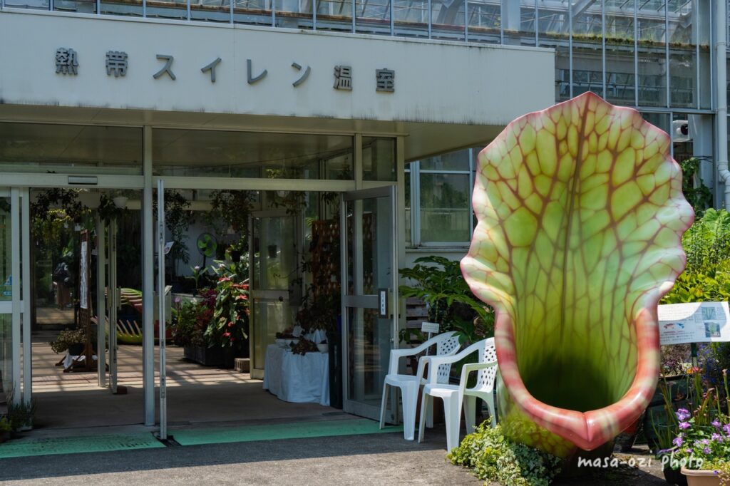 202207広島市植物公園-昼撮影その16