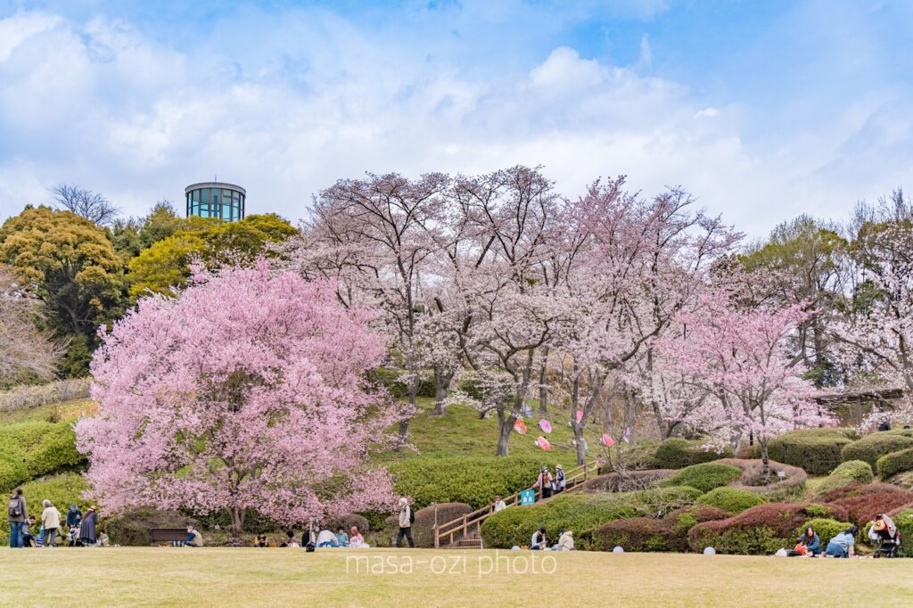 202303広島市植物公園-昼撮影その1